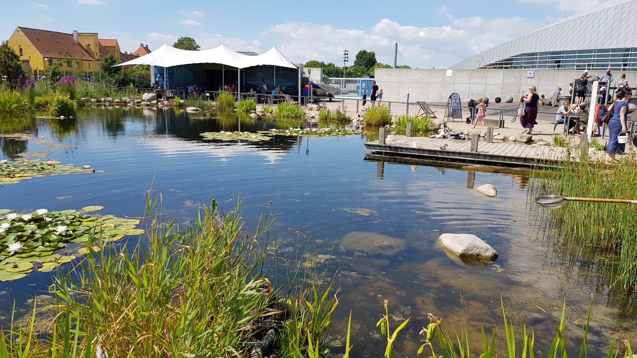 Image description